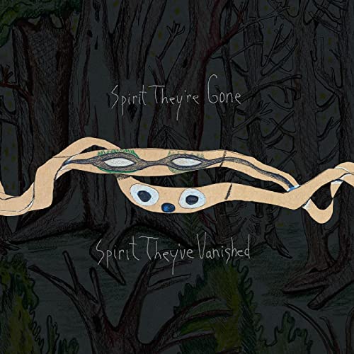 ANIMAL COLLECTIVE - SPIRIT THEY'RE GONE, SPIRIT THEY'VE VANISHED (2LP) image 1