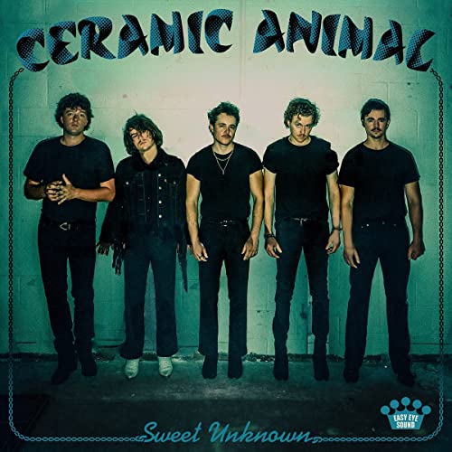 CERAMIC ANIMAL - SWEET UNKNOWN - Vinyl Record 12 INCH RECORD image 1