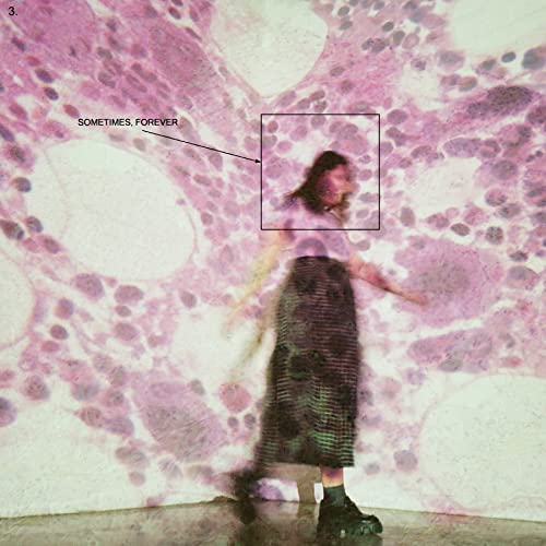 SOCCER MOMMY - SOMETIMES FOREVER - CD image 1