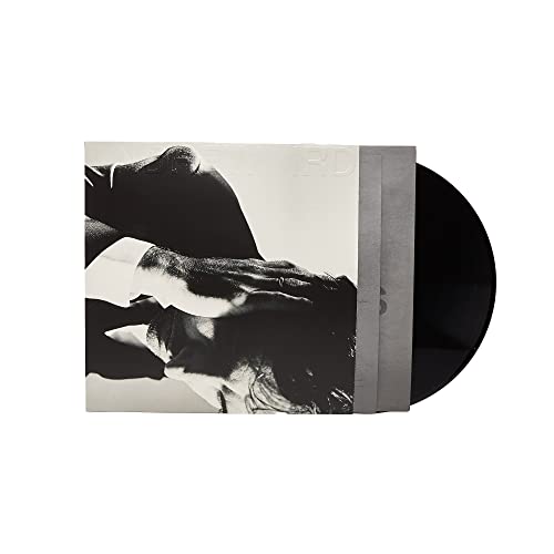 BIRD - INSIDE PROBLEMS - Vinyl Record 12 INCH RECORD image 2