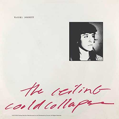 BOBBITT - CEILING COULD COLLAPSE - CD image 1