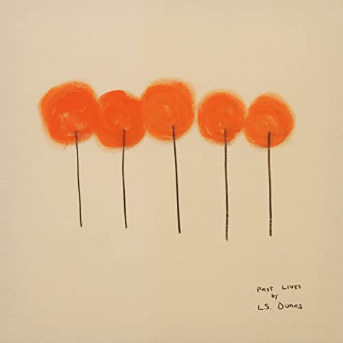 L.S. DUNES - PAST LIVES - CD image 1