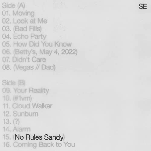 Sylvan Esso - No Rules Sandy LP - Vinyl Record image 1