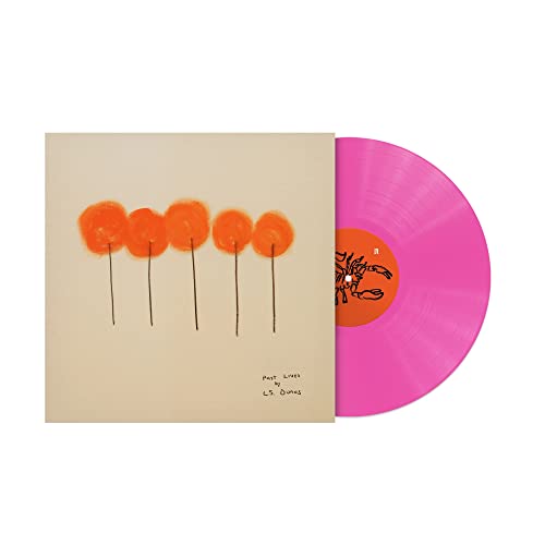 L.S Dunes - Past Lives LP - Vinyl Record image 2