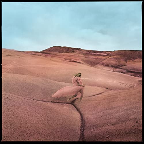 Margo Price - Strays - Vinyl Record 12 INCH RECORD image 1