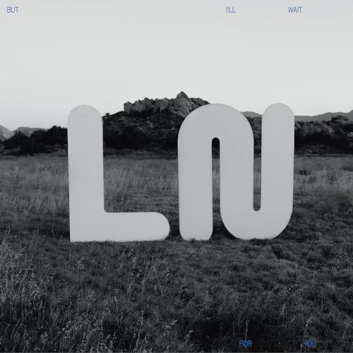 LOCAL NATIVES - BUT I'LL WAIT FOR YOU - Vinyl Record image 1