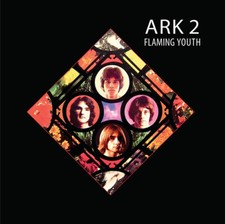 FLAMING YOUTH - Ark 2 - Vinyl Record image 1