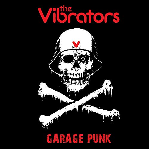 VIBRATORS - GARAGE PUNK - Vinyl Record image 1