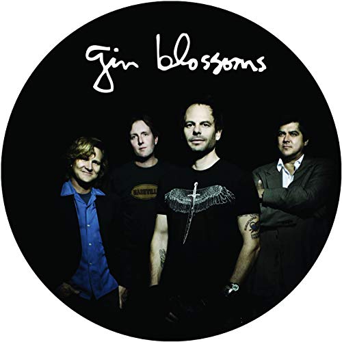 GIN BLOSSOMS - LIVE IN CONCERT (PICTURE DISC) - Vinyl Record image 1