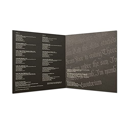 SPONGE - LAVATORIUM - Vinyl Record image 5