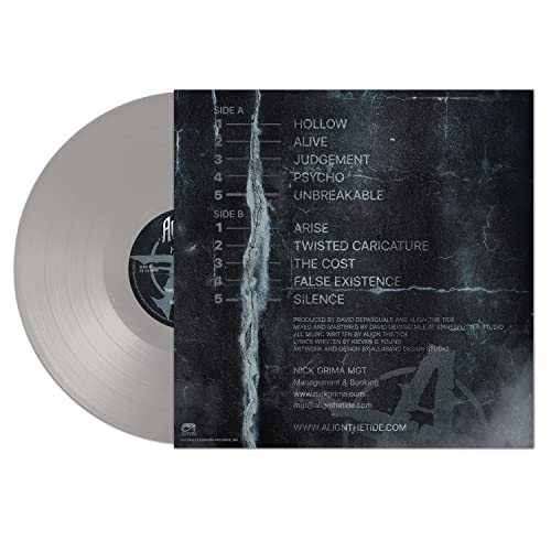 ALIGN THE TIDE - HOLLOW - SILVER - Vinyl Record image 3