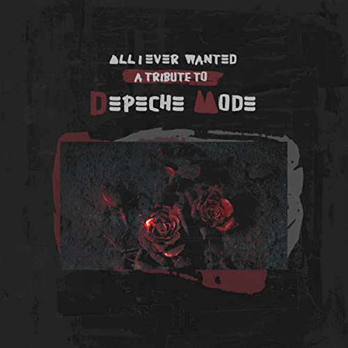 ALL I EVER WANTED - - Vinyl Record image 1