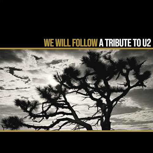 VARIOUS ARTISTS - WE WILL FOLLOW - A TRIBUTE TO - Vinyl Record image 1