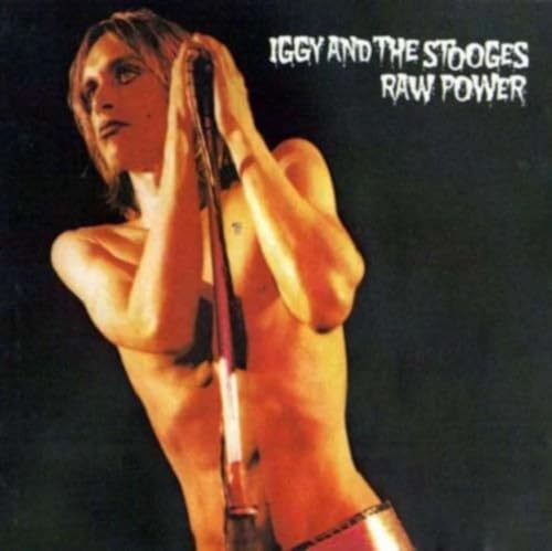 Stooges - Raw Power - Vinyl Record image 1