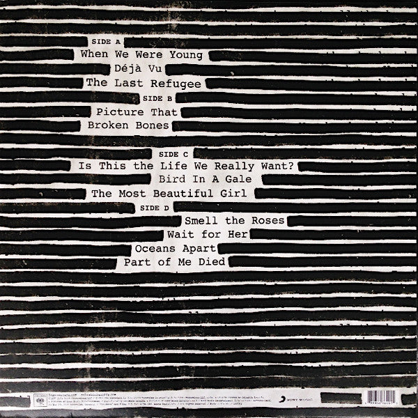 Roger Waters - Is This The Life We Really Want? - Vinyl Record image 2