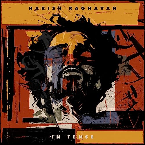 HARISH RAGHAVAN - In Tense - Vinyl Record image 1
