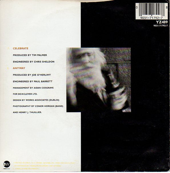 An Emotional Fish - Celebrate - Used Vinyl Record 7" image 2