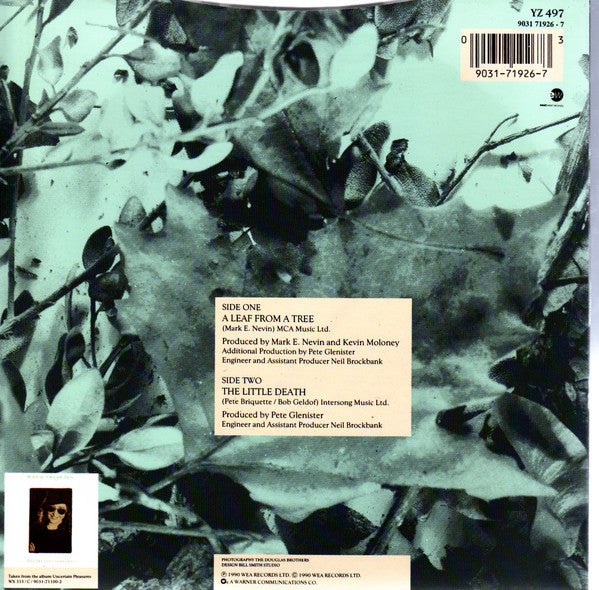 Mary Coughlan - A Leaf From A Tree - Used Vinyl Record 7" image 4