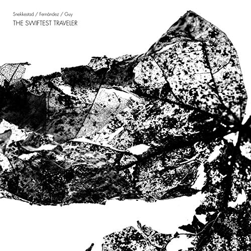 SNEKKESTAD/FERNANDEZ - SWIFTEST TRAVELER THE - CD image 1