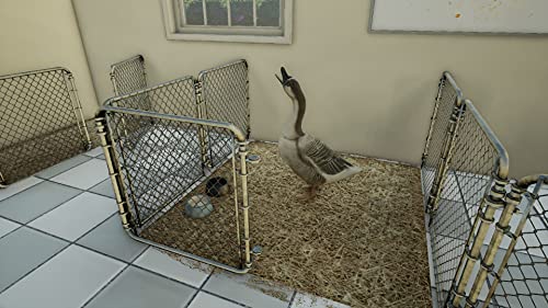 ANIMAL DOCTOR -  - Nintendo Switch image 2