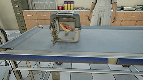 ANIMAL DOCTOR -  - Nintendo Switch image 4