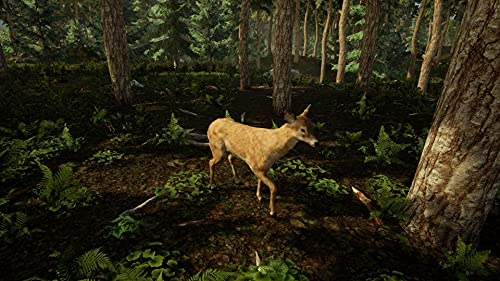 ANIMAL DOCTOR -  - Nintendo Switch image 7