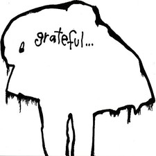 DFL - GRATEFUL - Vinyl Record image 2