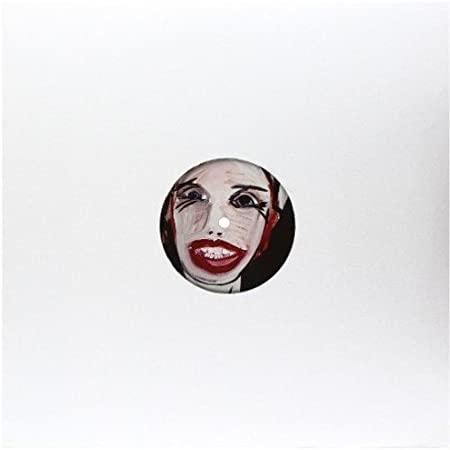 DJ Sprinkles - Queerifications & Ruins Vinyl Sampler 2 - Vinyl Record image 1