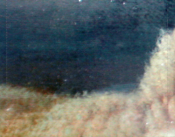 Red Hot Chili Pepper - By The Way - Used CD image 5