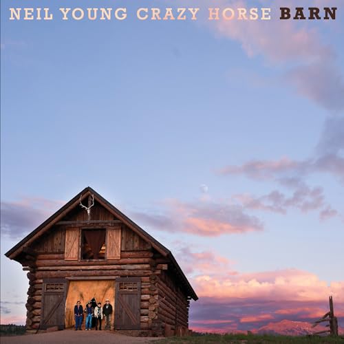 YOUNG - BARN - Vinyl Record VINYL image 2