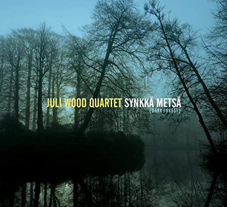 WOOD JULI/QUARTET - SYNKKA METSA (DARK FOREST) - CD image 1