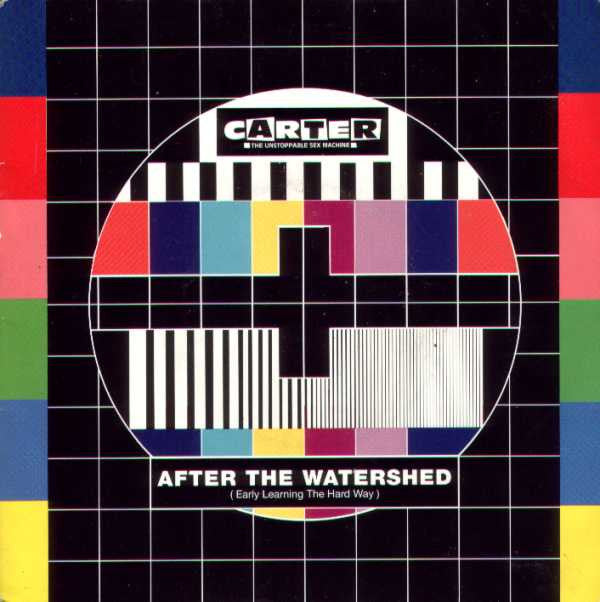 Carter The Unstoppab - After The Watershed - Used Vinyl Record 7" image 1
