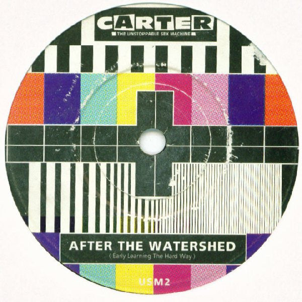 Carter The Unstoppab - After The Watershed - Used Vinyl Record 7" image 3