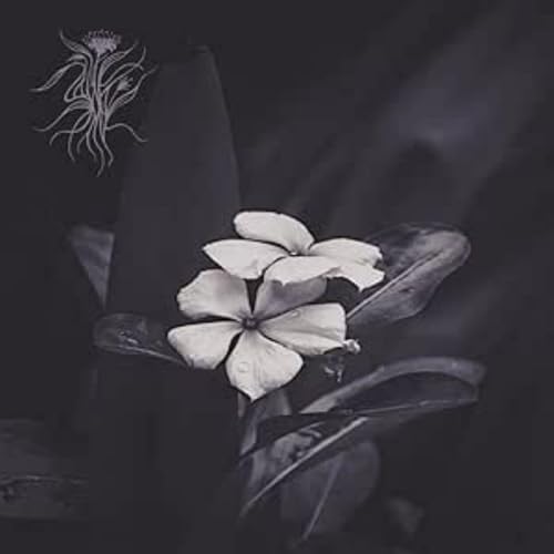 SAASIL - EPHEMERAL - CD image 1