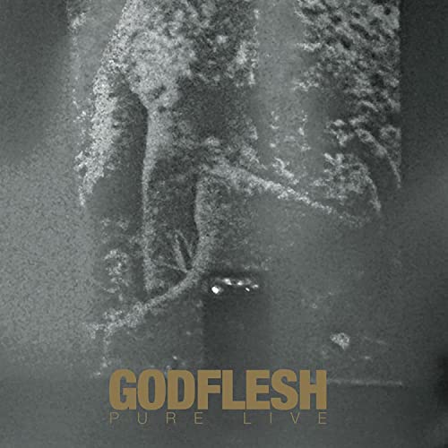 GODFLESH - PURE: LIVE (GOLD W/ GOLD AND WHITE SPLATTER VINYL) - Vinyl R image 2