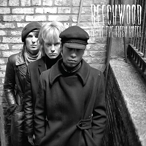 Beechwood - Inside the Flesh Hotel - Vinyl Record image 1