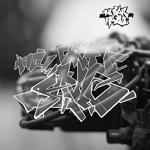 FEAR RATIO - Y CANT BE SAVED - Vinyl Record image 1