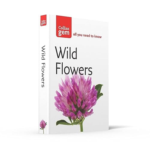 Wild Flowers - Paperback image 1