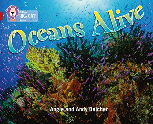 Angie Belcher - Oceans Alive : Band 14/Ruby - Paperback image 1