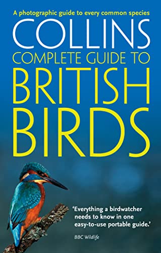 Paul Sterry - British Birds : A Photographic Guide to Every Common Spe image 1
