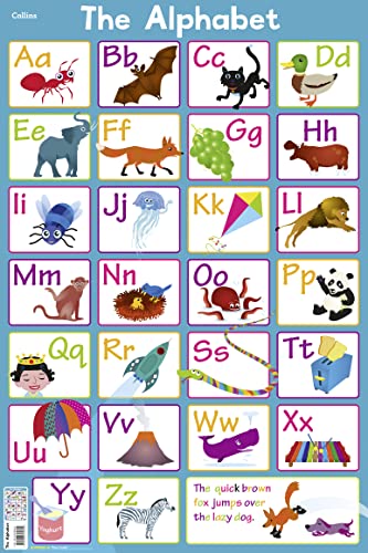Alphabet - Paperback image 1