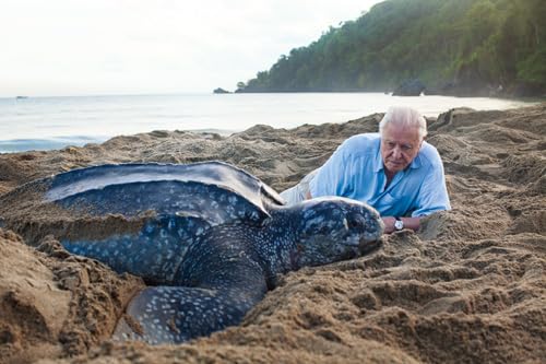 David Attenborough - Trials of Life : A Natural History of Animal Beha image 2