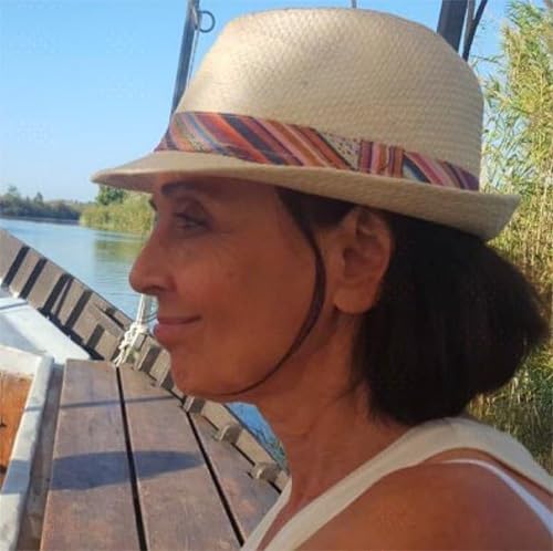Fiona Tomlinson - A Dip : Phase 2 - Paperback image 2