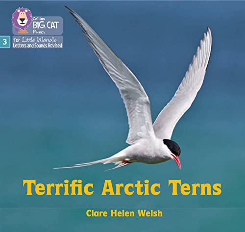 Clare Helen Welsh - Terrific Arctic Terns : Phase 3 Set 2 - Paperback image 1