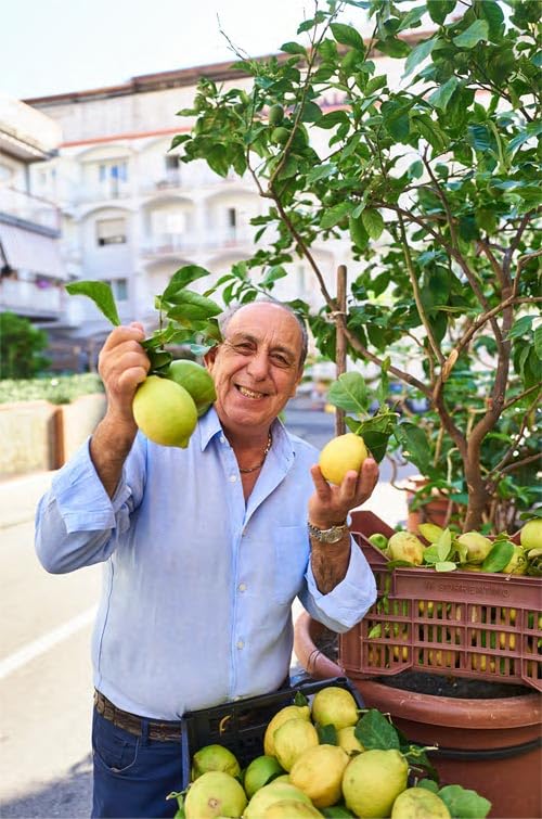 Gennaro Contaldo - Gennaro’s Verdure : Big and Bold Italian Recipes image 2