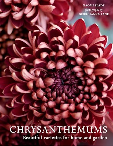 Georgianna Lane - Chrysanthemums : Beautiful Varieties for Home and Ga image 1