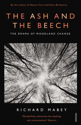 Richard Mabey - Ash and The Beech : The Drama of Woodland Change - Pap image 1
