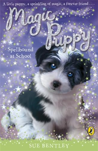 Sue Bentley - Magic Puppy: Spellbound at School - Paperback image 1