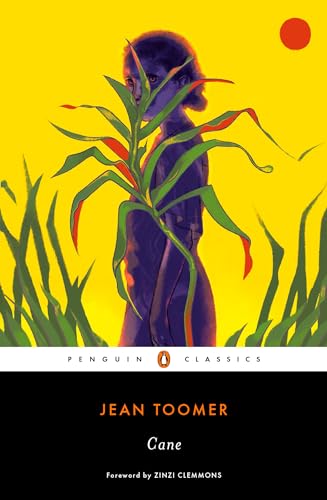 Jean Toomer - Cane - Paperback image 1