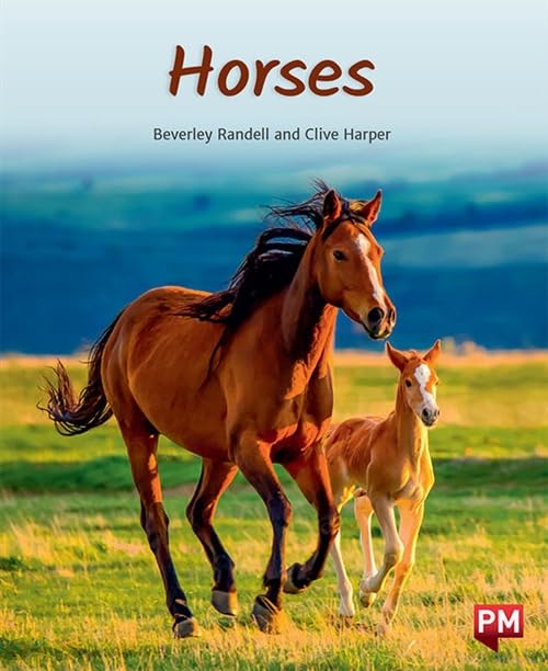 BEVERLEY RANDELL - HORSES - Paperback image 1